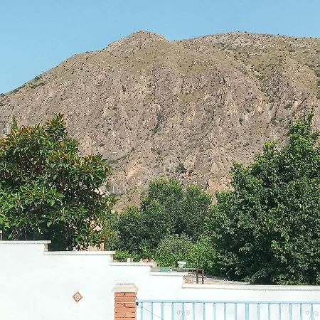 Recovery Mountain Homestay アリカンテ エクステリア 写真