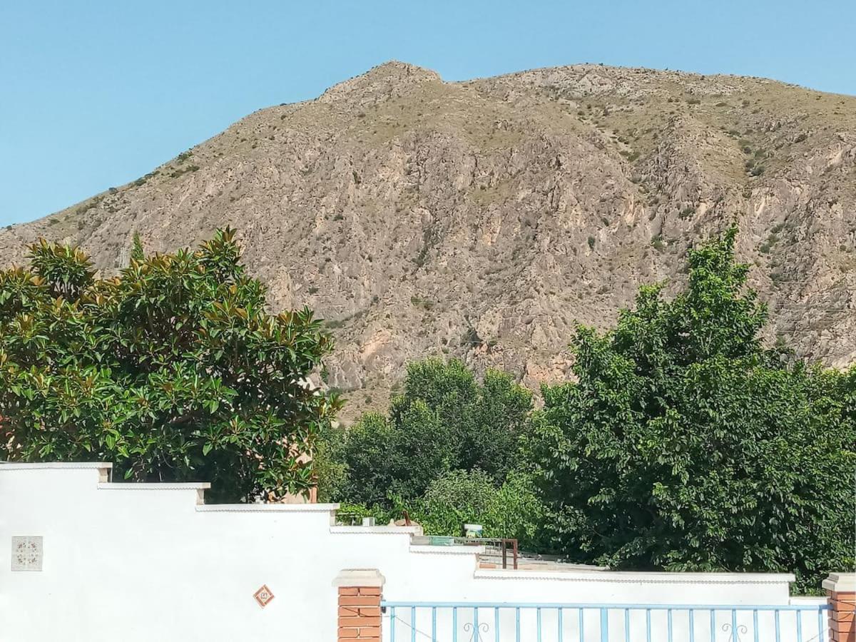 Recovery Mountain Homestay アリカンテ エクステリア 写真