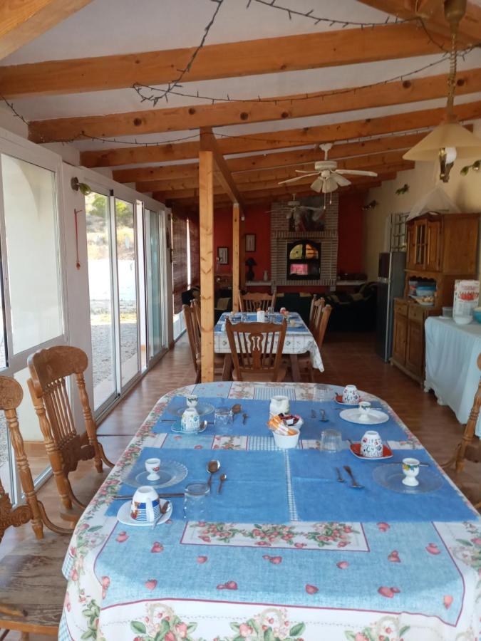 Recovery Mountain Homestay アリカンテ エクステリア 写真